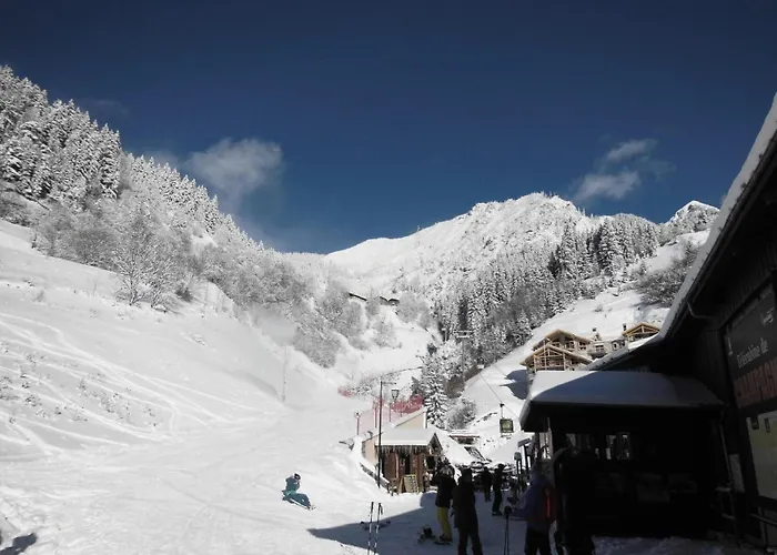 Appartamento Résidence Les Primevères - Pour 4 Personnes 193339